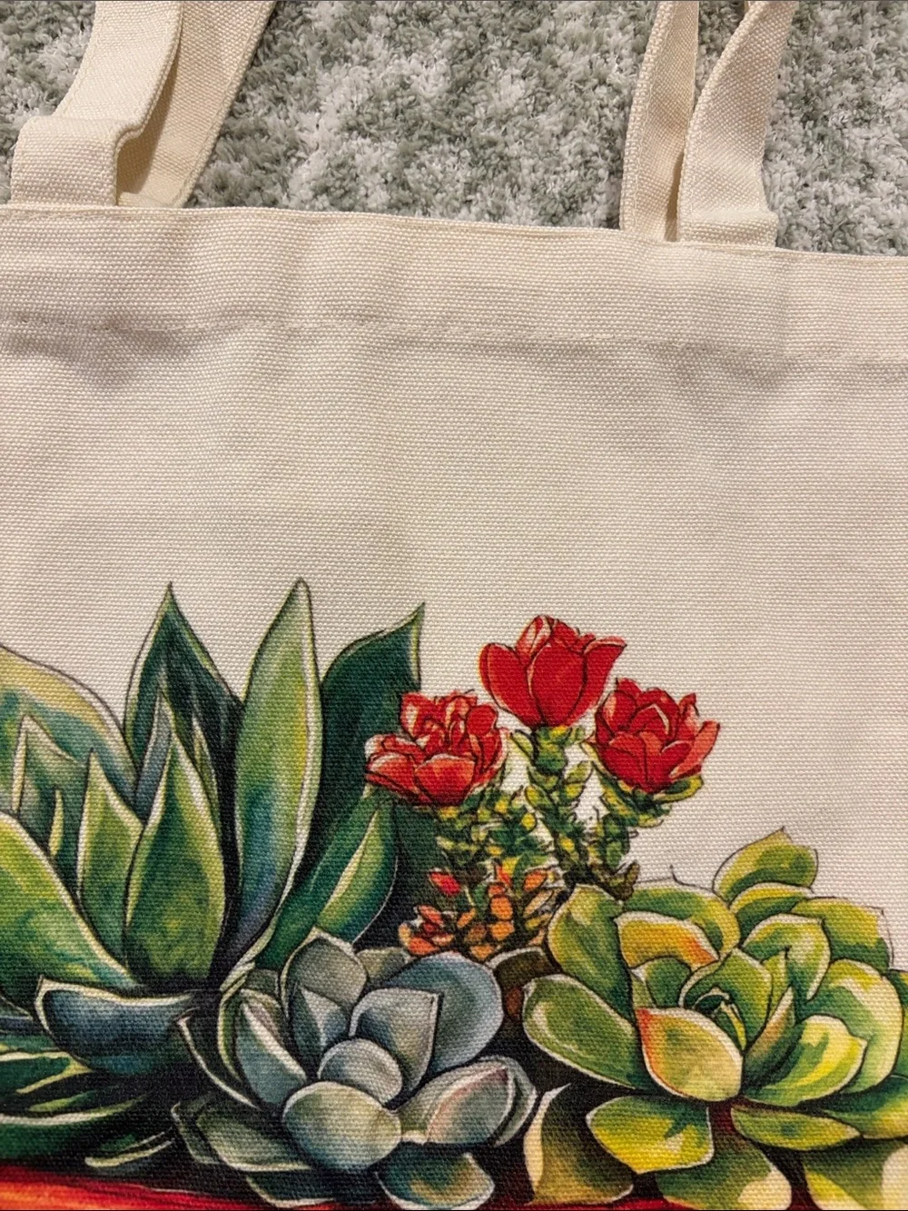 Southwest Ceramic Potted Succulents Cotton Canvas Tote Bag NWT 13.5x15.5”